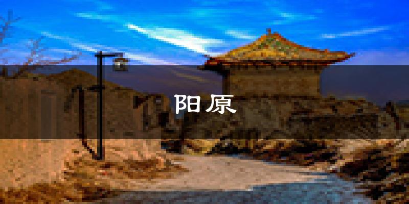 阳原天气预报未来一周