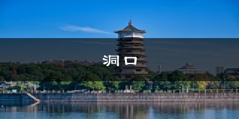 洞口天气预报未来一周