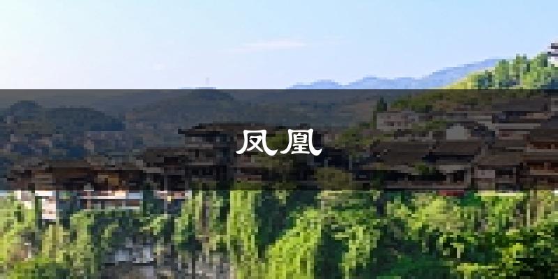 凤凰天气预报未来一周