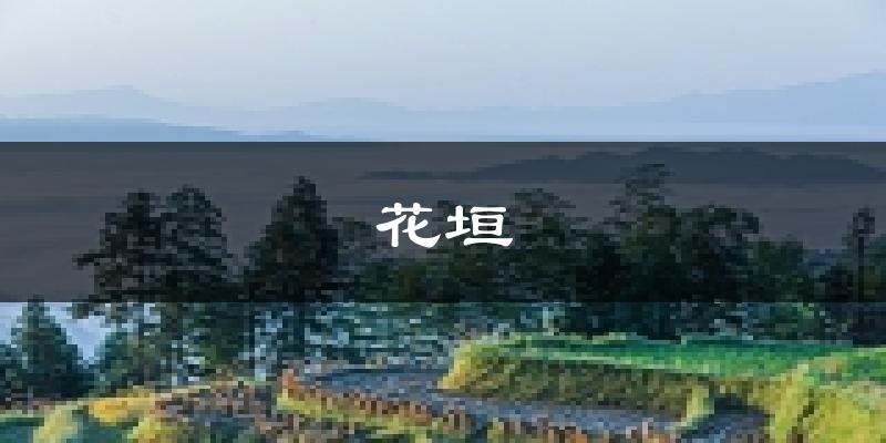 花垣天气预报未来一周