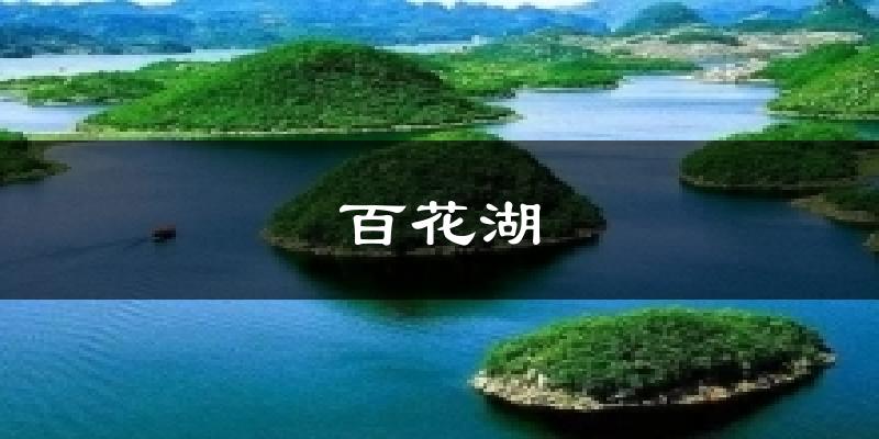 百花湖天气未来15天