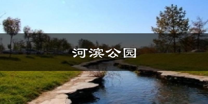 河滨公园气温