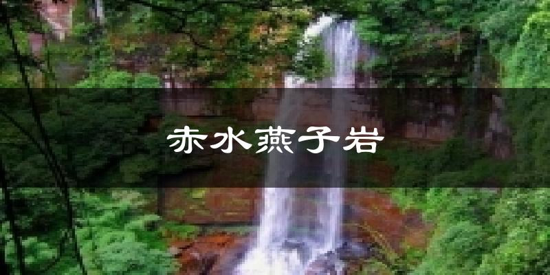 赤水燕子岩今日天气