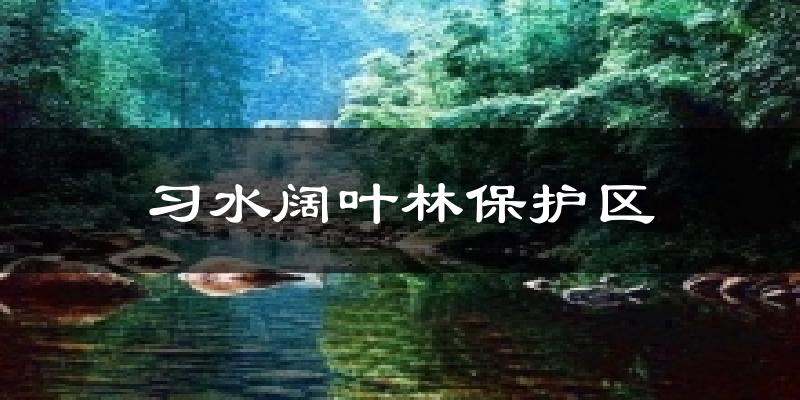 习水阔叶林保护区气温