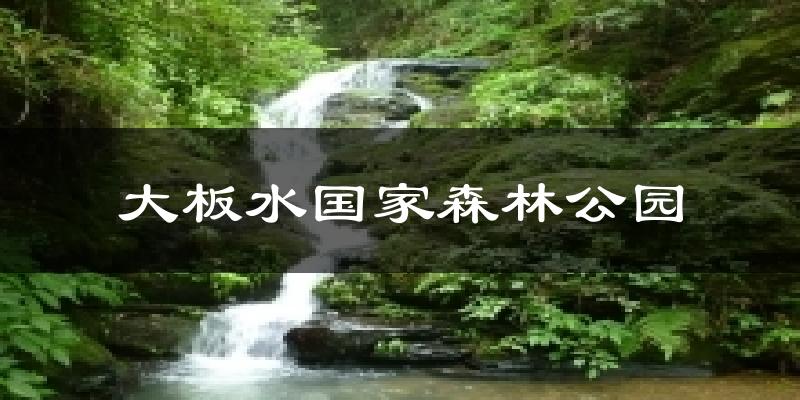 大板水国家森林公园气温