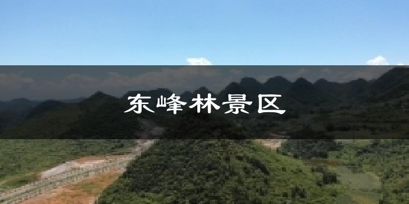 东峰林景区气温