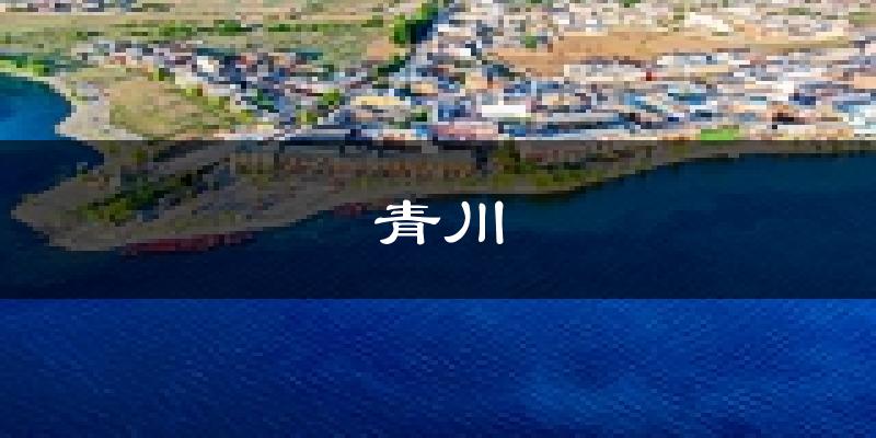 青川天气预报未来一周